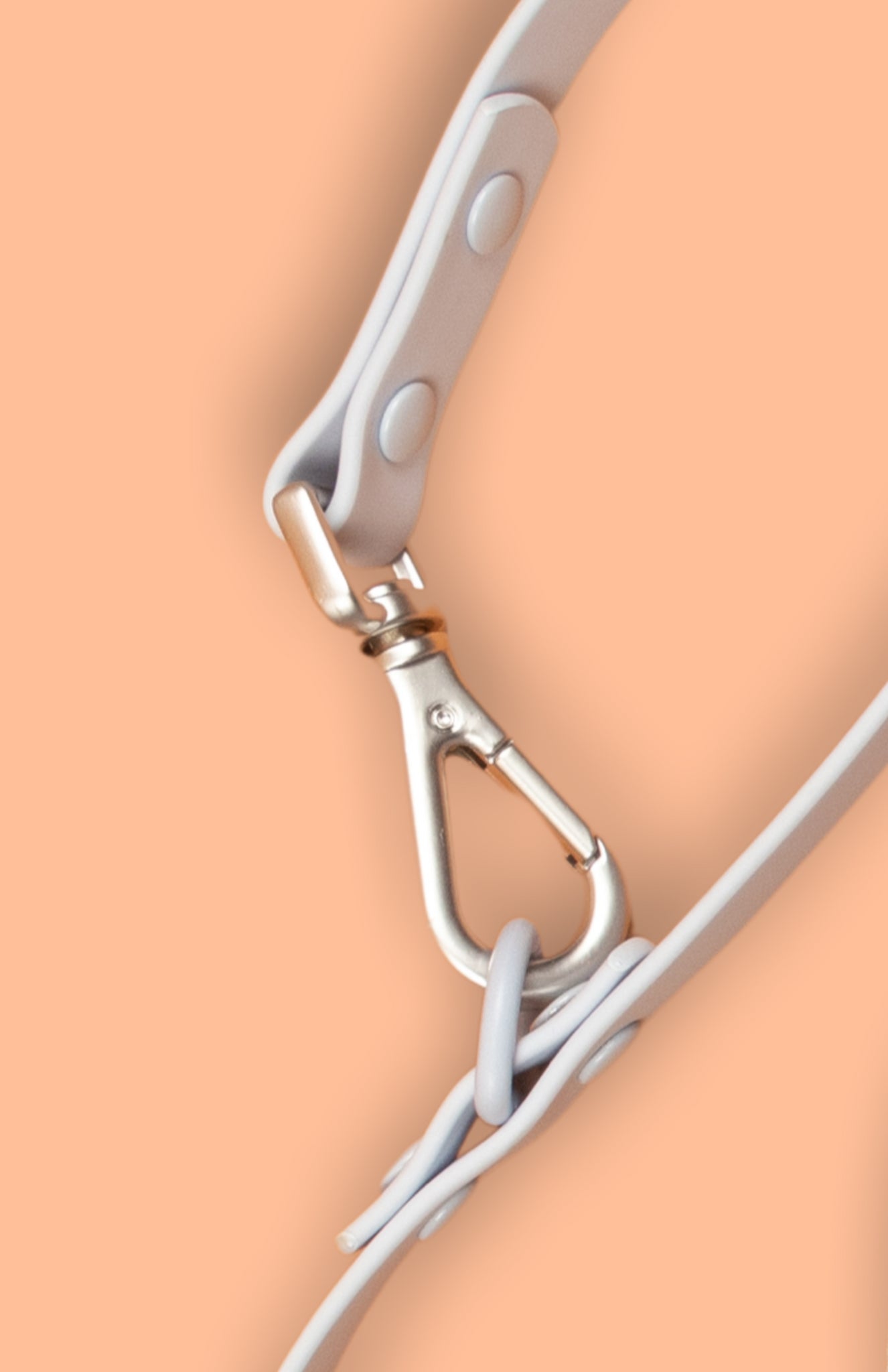 Hundebånd - Lyse blått - Dyrekompaniet