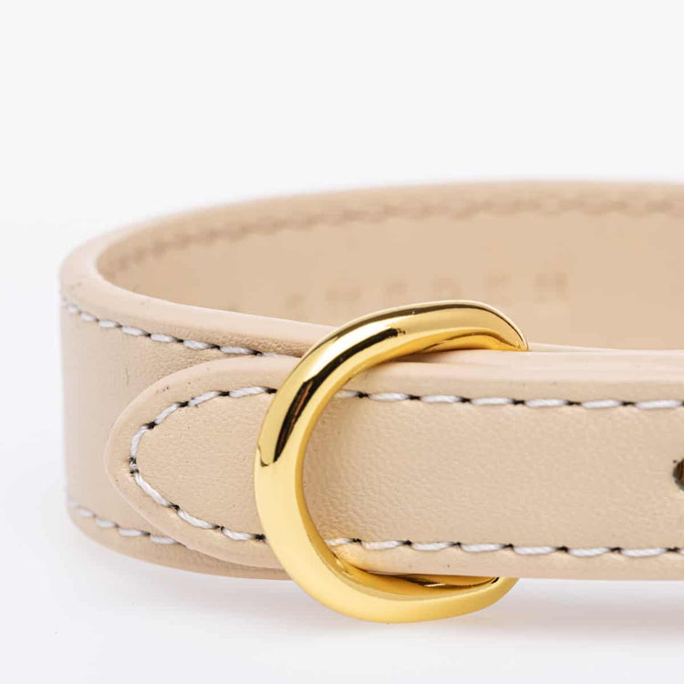 Halsbånd til hund - Dyrekompaniet