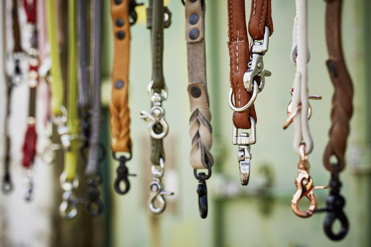 Ut på tur - Dyrekompaniet