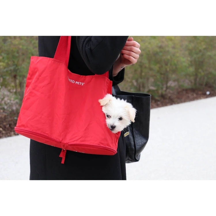 Reise med hund og katt - Dyrekompaniet