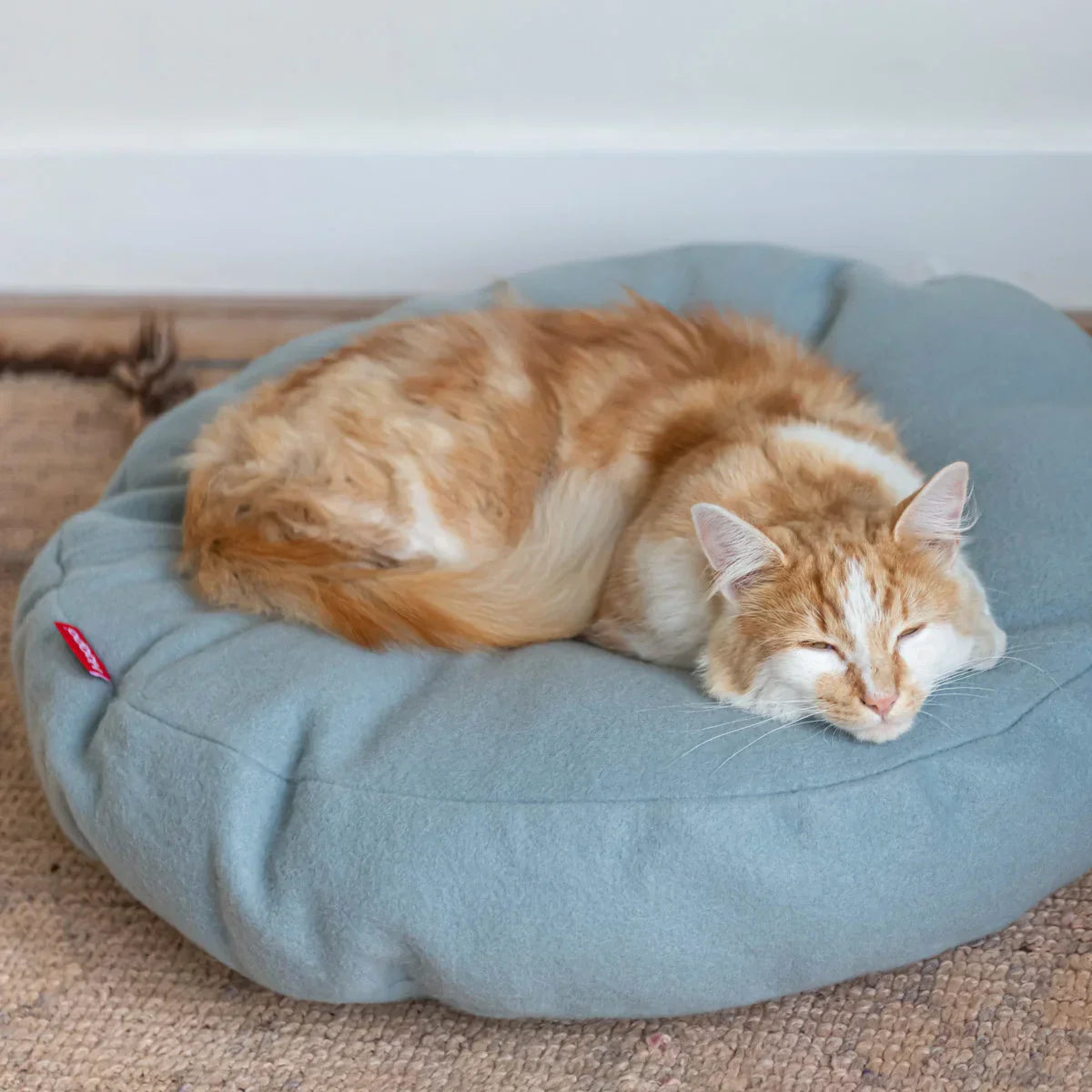 Katt som sover synder ikke