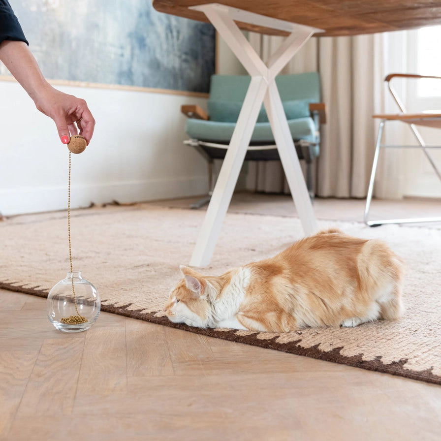 Alle katter liker å jakte