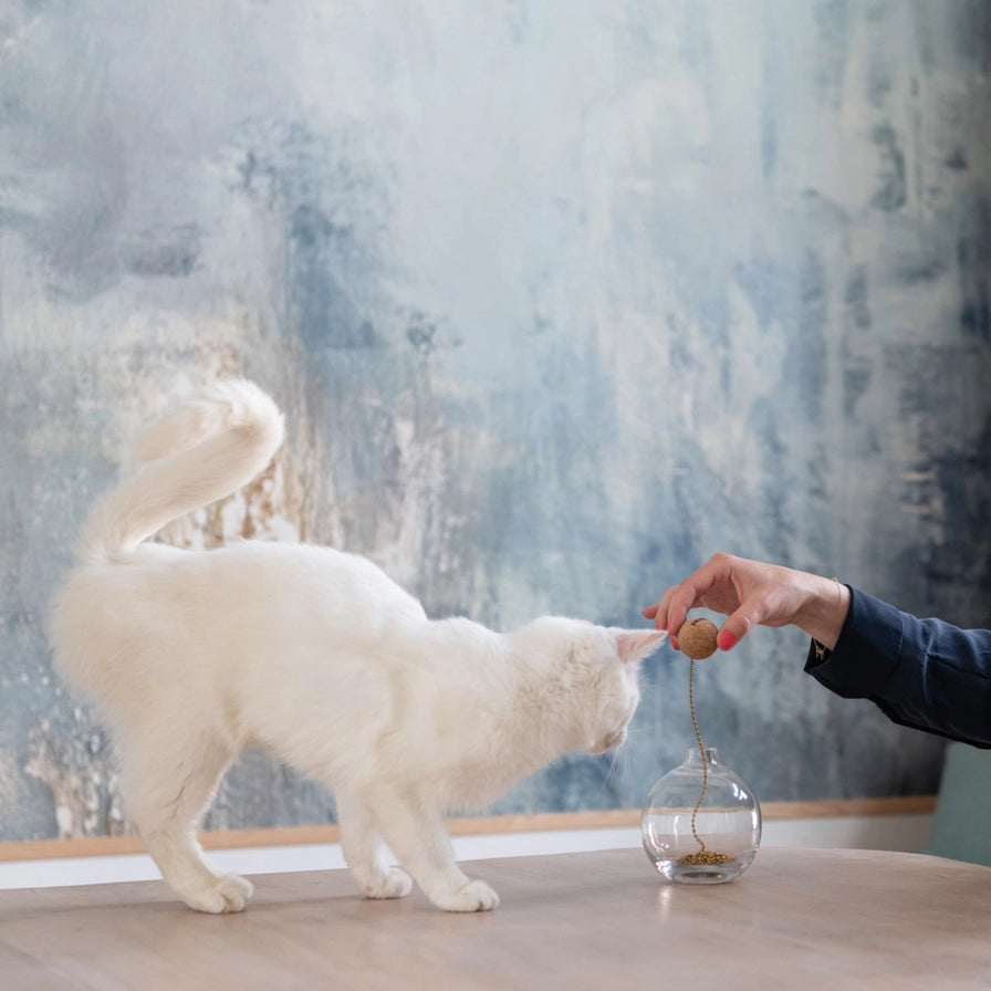 Dekorativ og morsom leke til katt