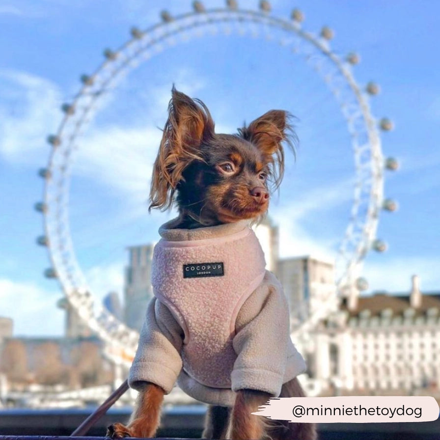 Lekker sele til din hund i lyserosa