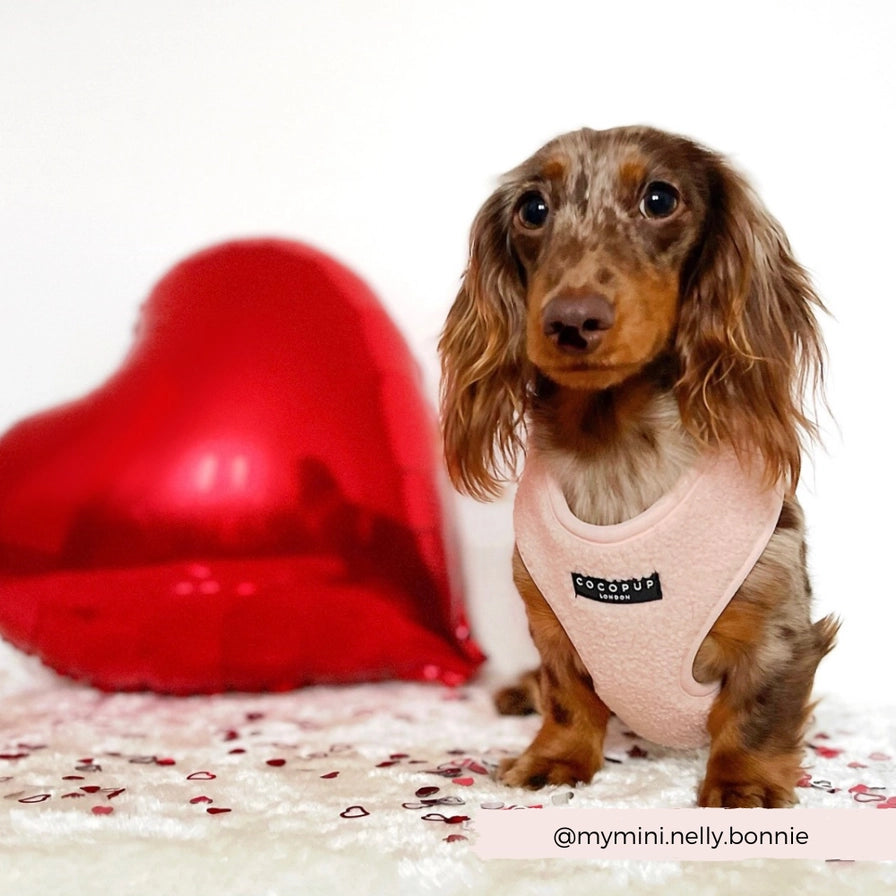 Ergonomisk sele til din hund 