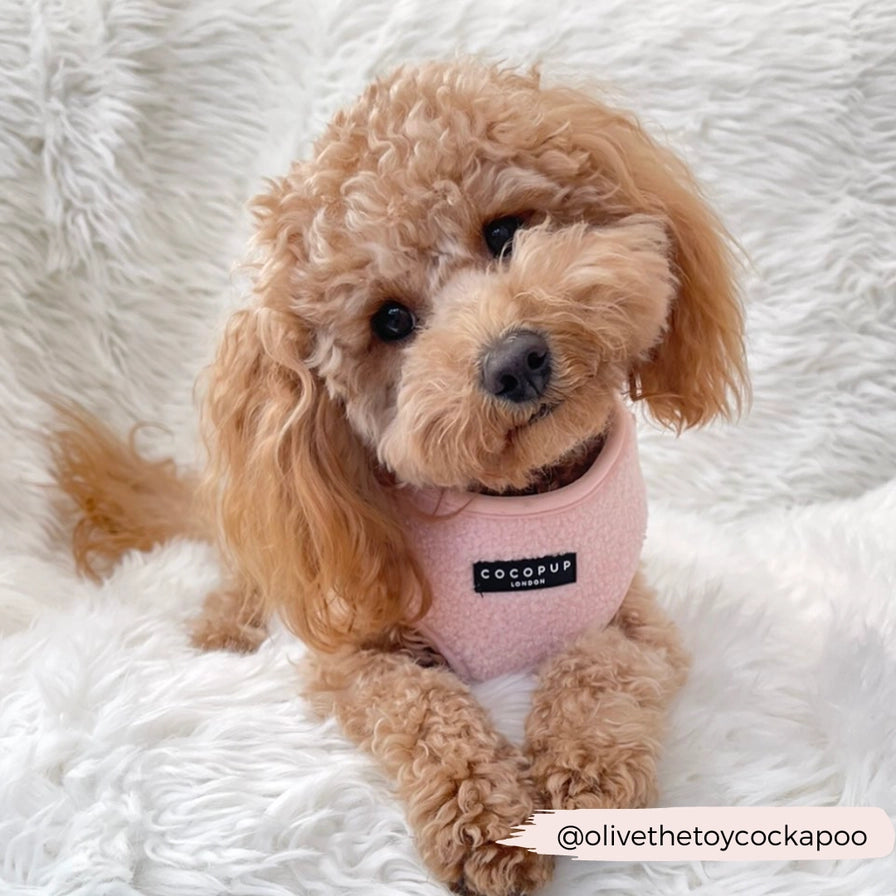 Cocopup seler til hund er populære