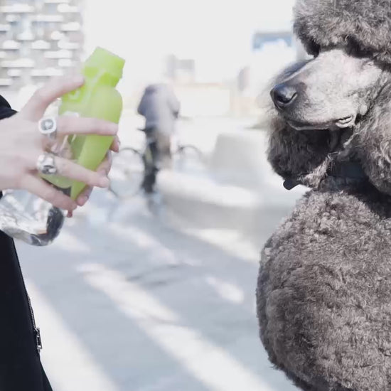 smart vanndispenser hund - Dyrekompaniet