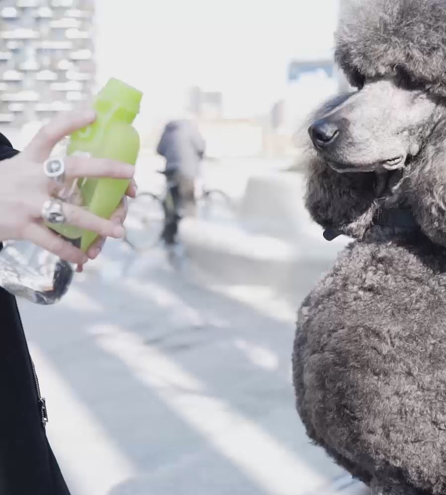 portabel vannskål hund - Dyrekompaniet