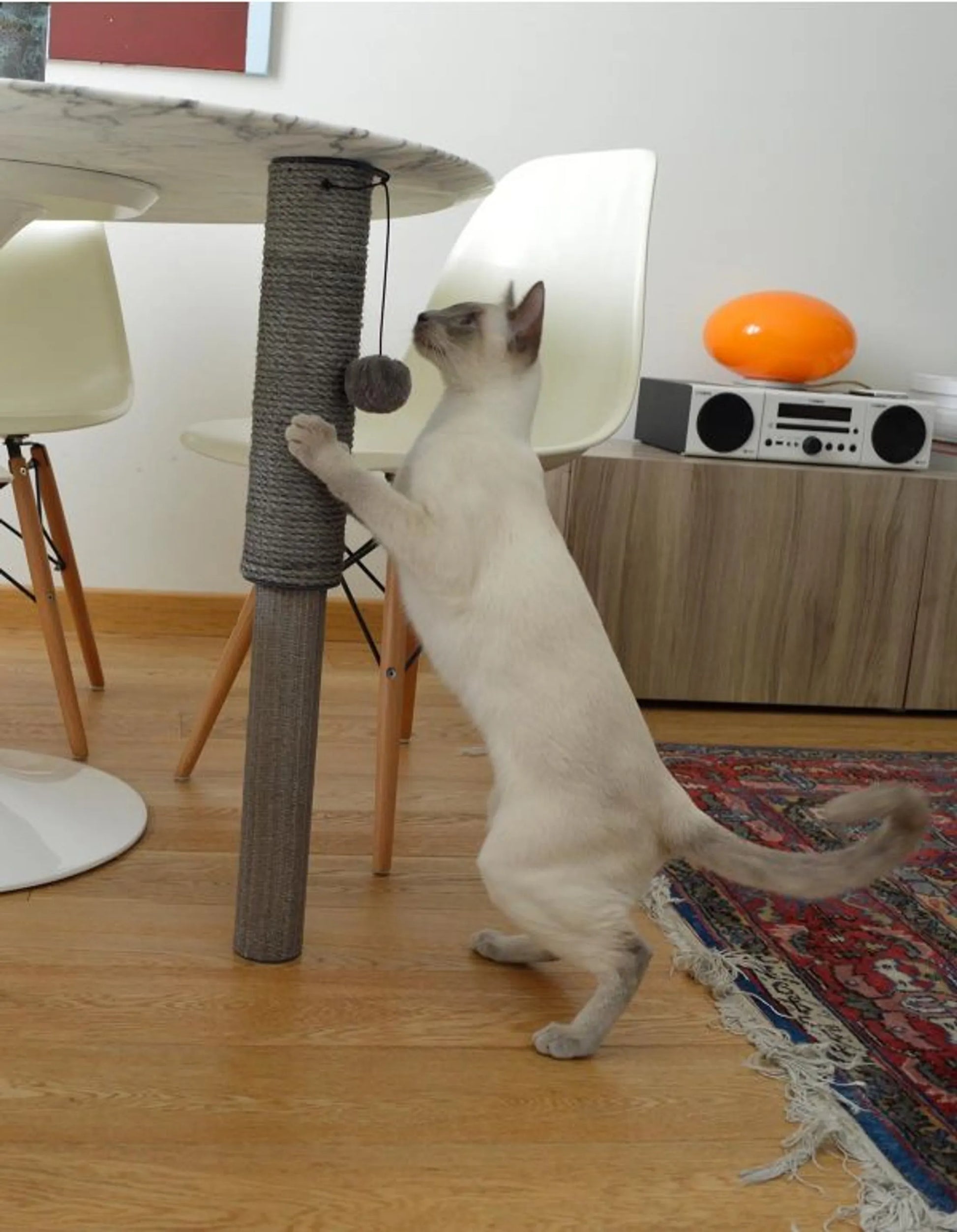 Klorestolpe til katt - Dyrekompaniet