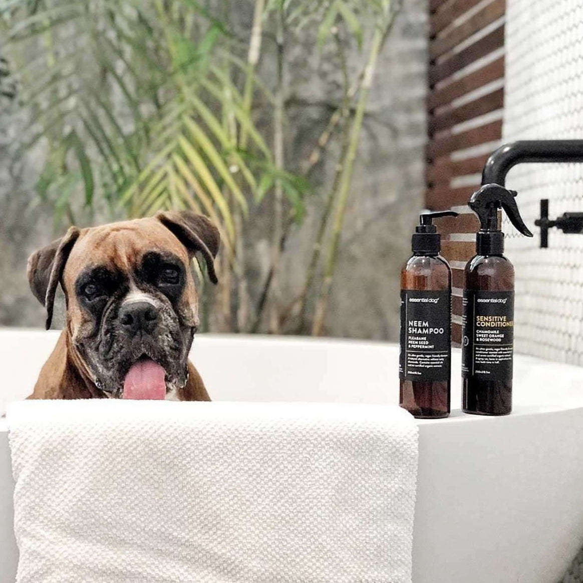 hundebalsam - Dyrekompaniet