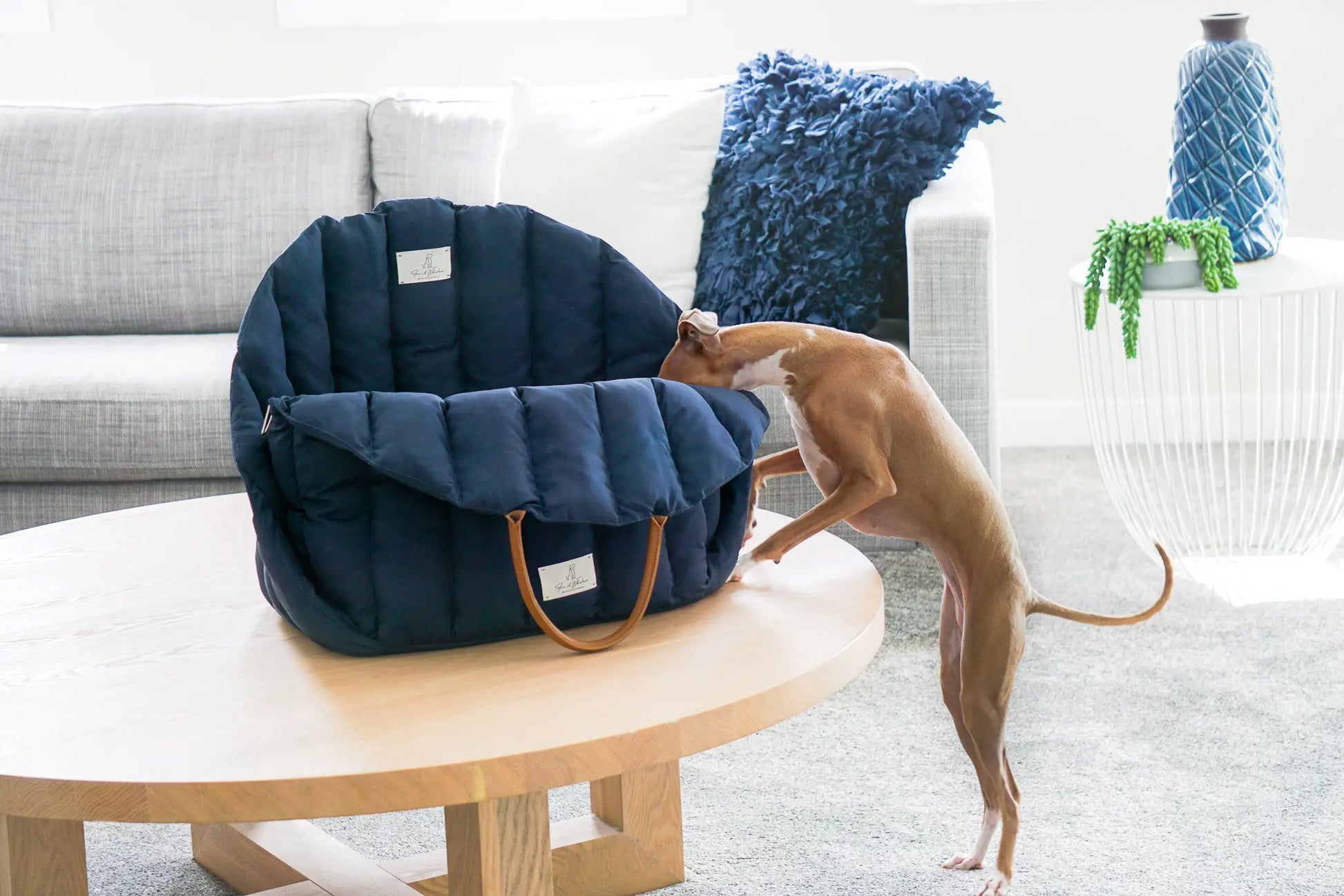 Bilsete til hund - mørk blå - Dyrekompaniet