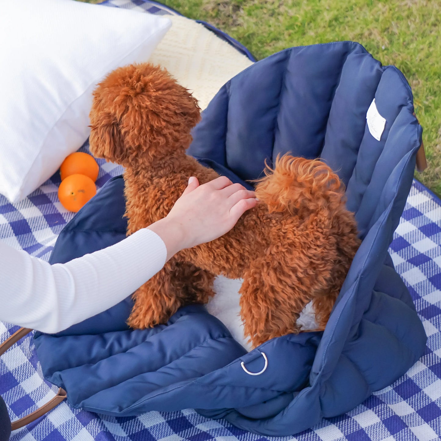 Bilsete til hund - mørk blå - Dyrekompaniet