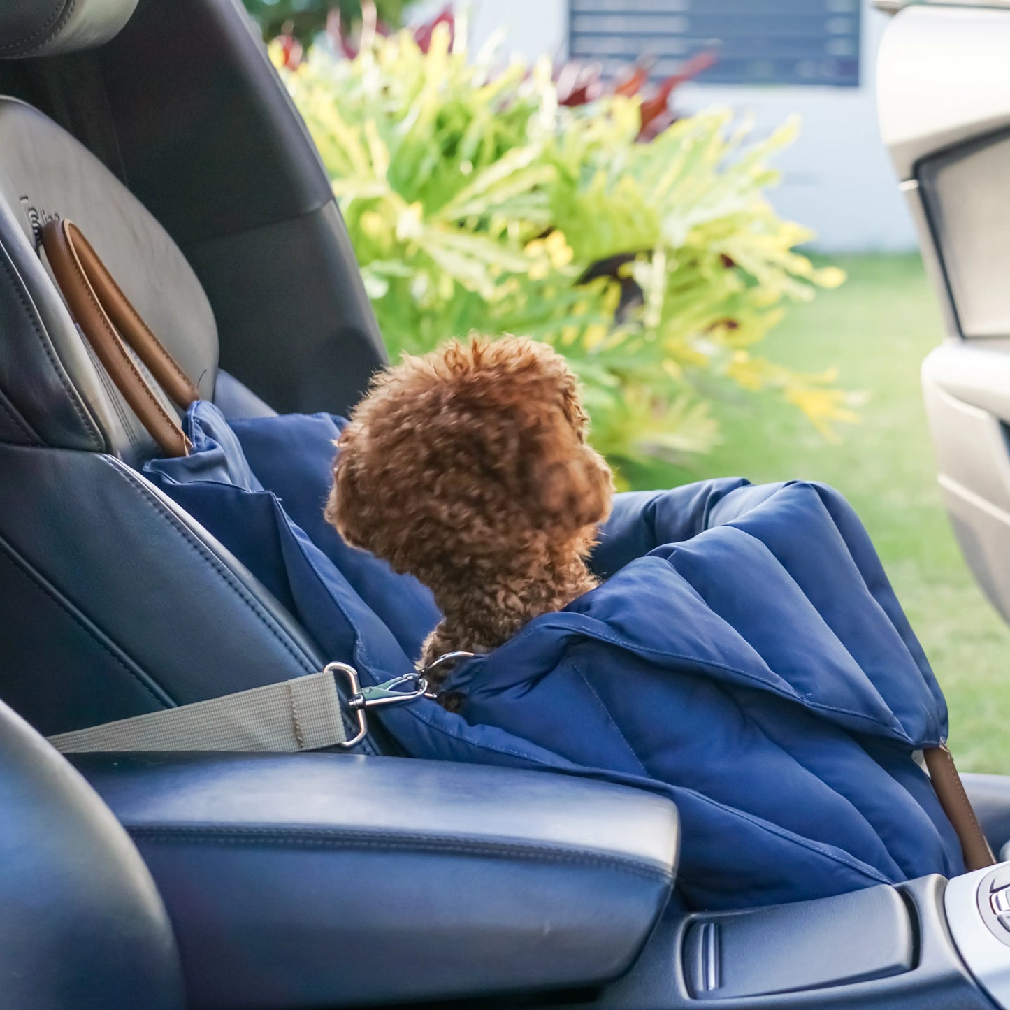 Bilsete til hund - mørk blå - Dyrekompaniet