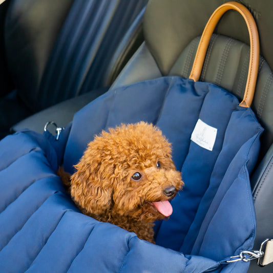 Bilsete til hund - mørk blå - Dyrekompaniet