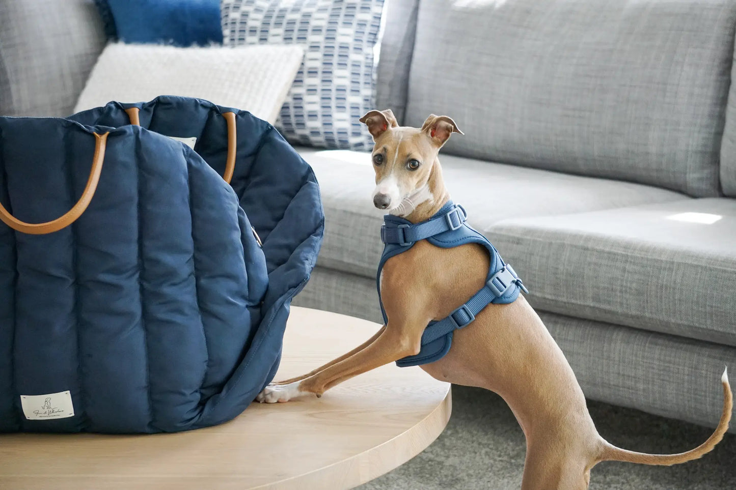 Bilsete til hund - mørk blå - Dyrekompaniet