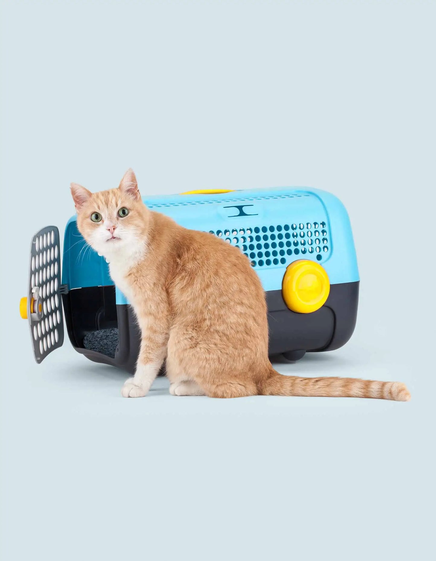 Bur til små hunder og katter blå/grå - Dyrekompaniet