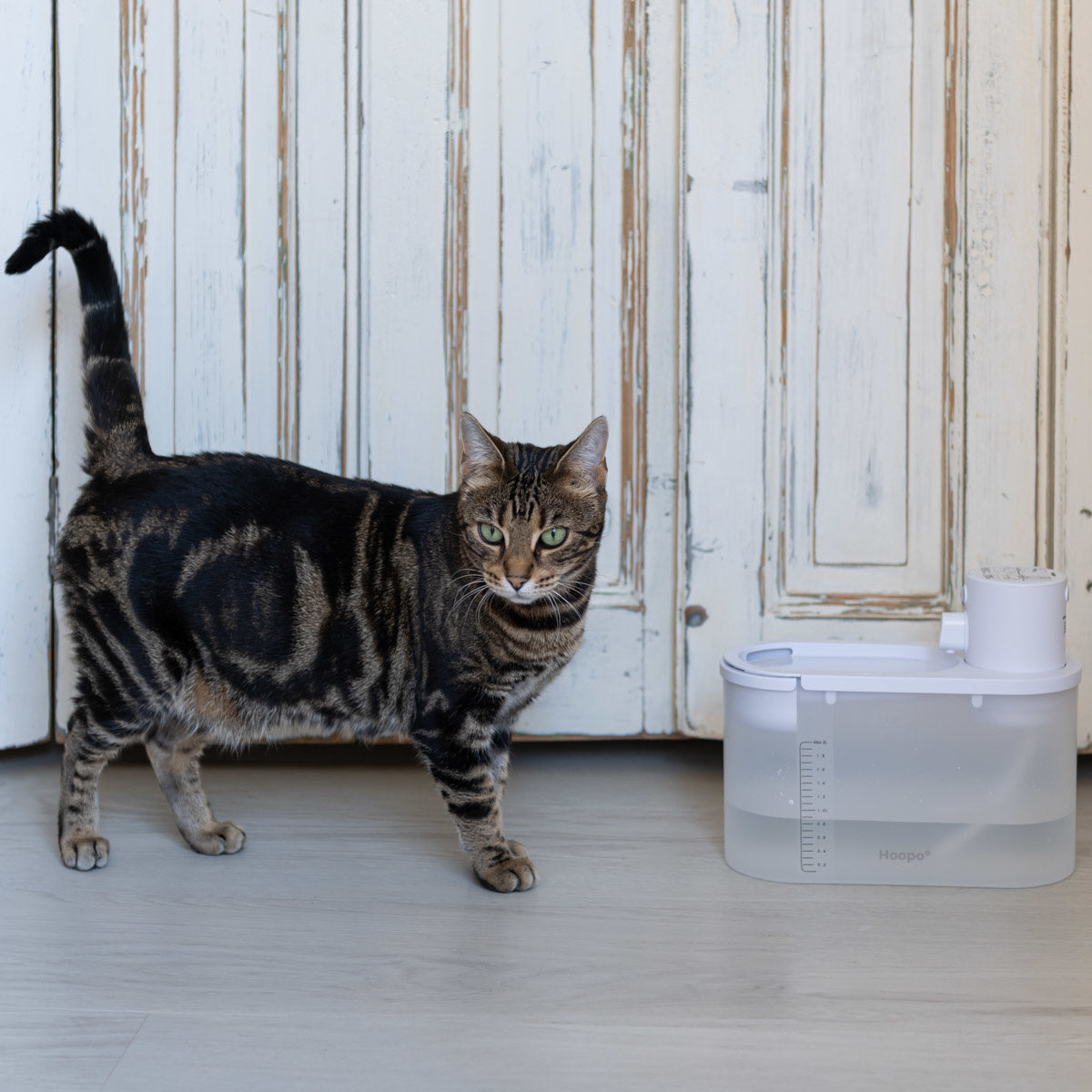 Drikkefontene trådløs - vannfontene til katt og hund