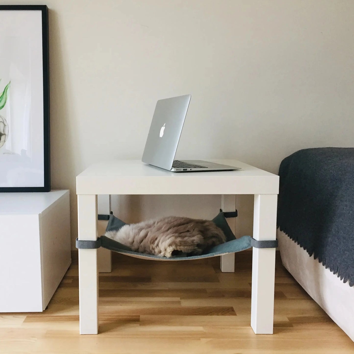 seng til katt - Dyrekompaniet