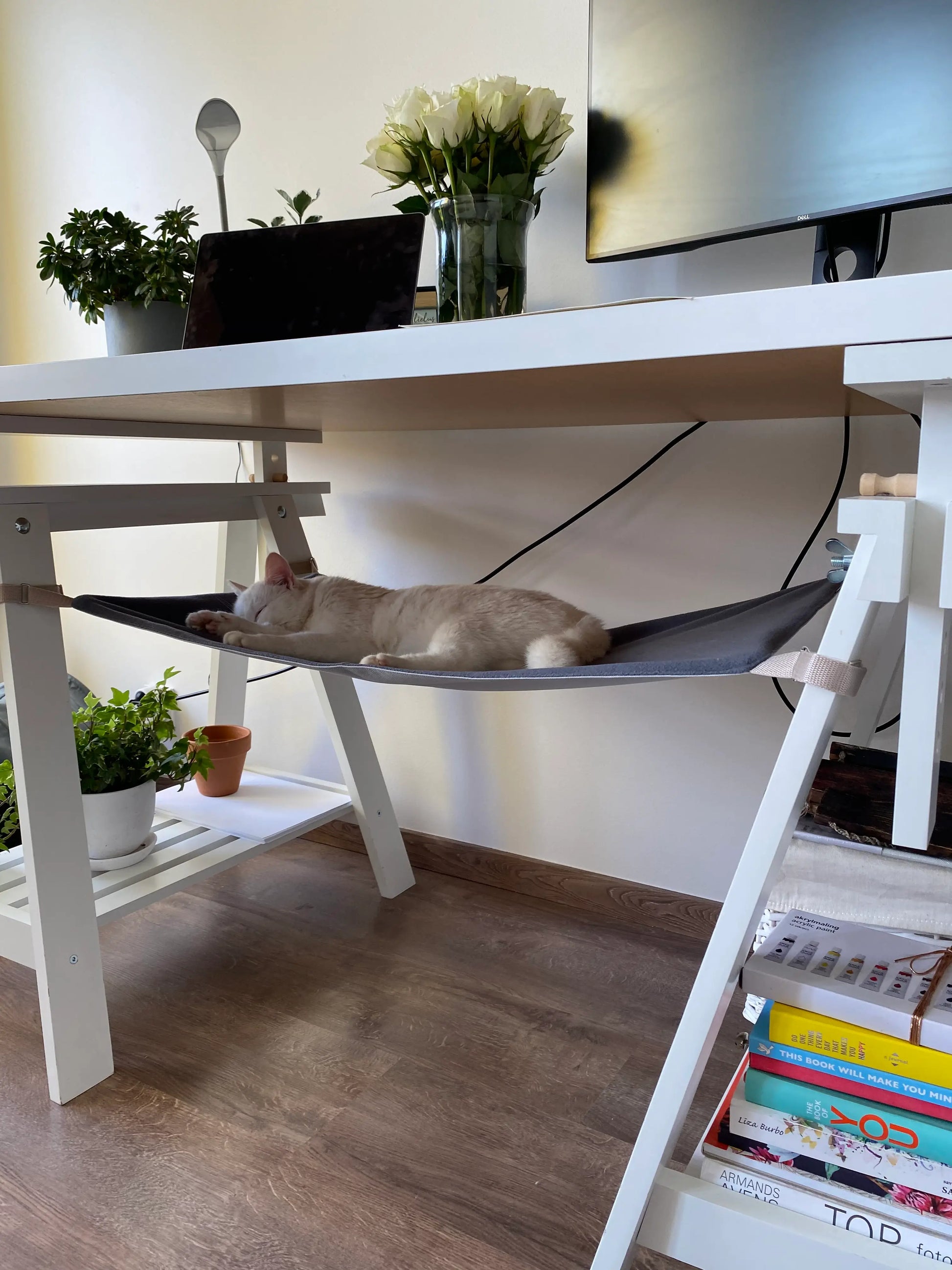 seng til katt - Dyrekompaniet