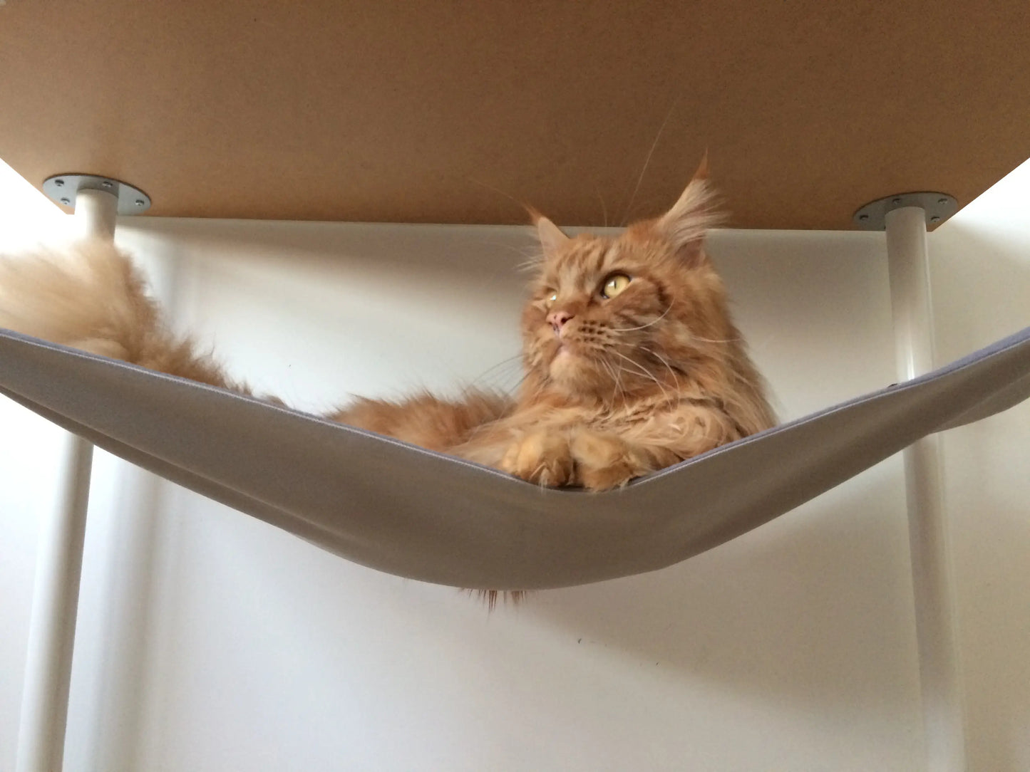 katteseng til stol - Dyrekompaniet