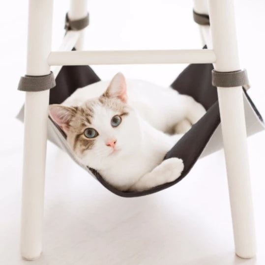 hengekøye katt - Dyrekompaniet