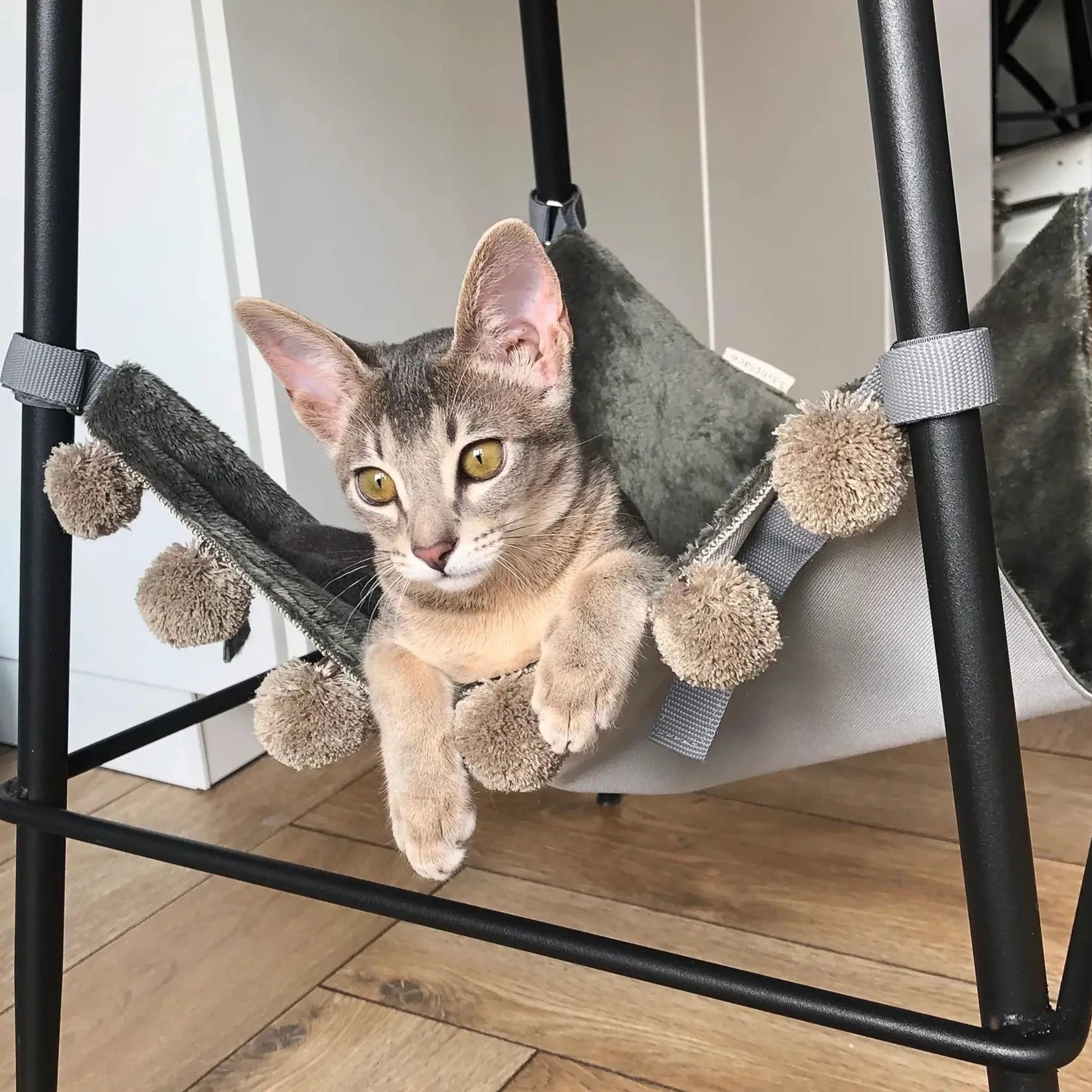 hengekøye katt - Dyrekompaniet