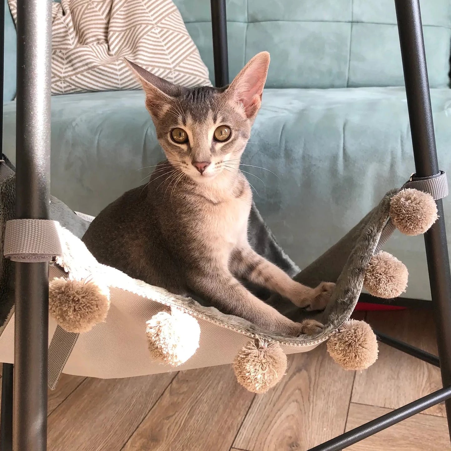 katteseng til stol - Dyrekompaniet