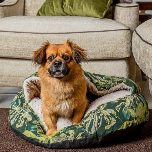 sovehule hund - Dyrekompaniet