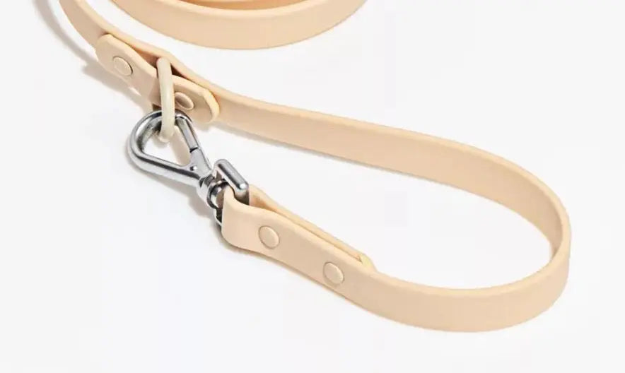 Hundebånd - beige - Dyrekompaniet