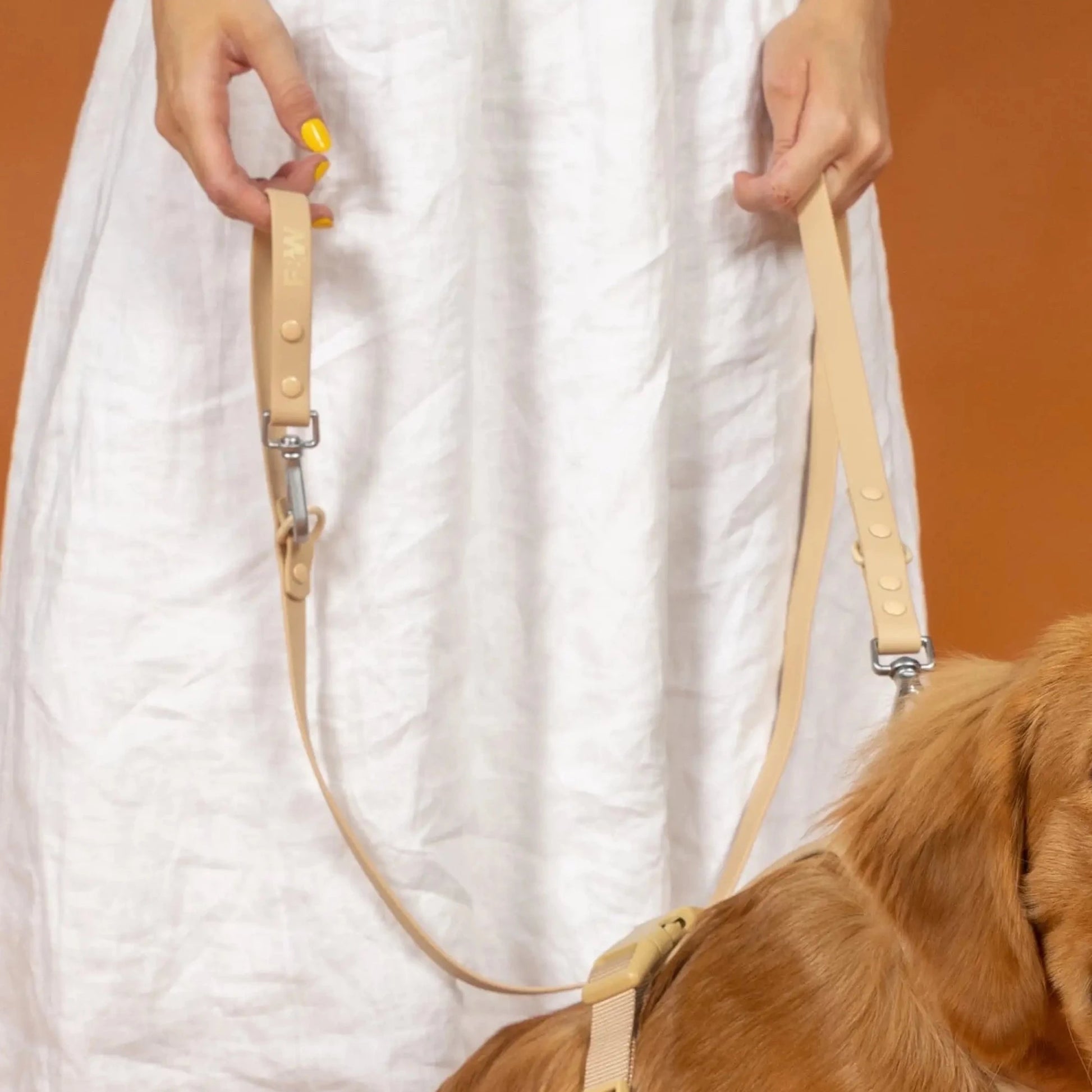 Hundebånd - beige - Dyrekompaniet