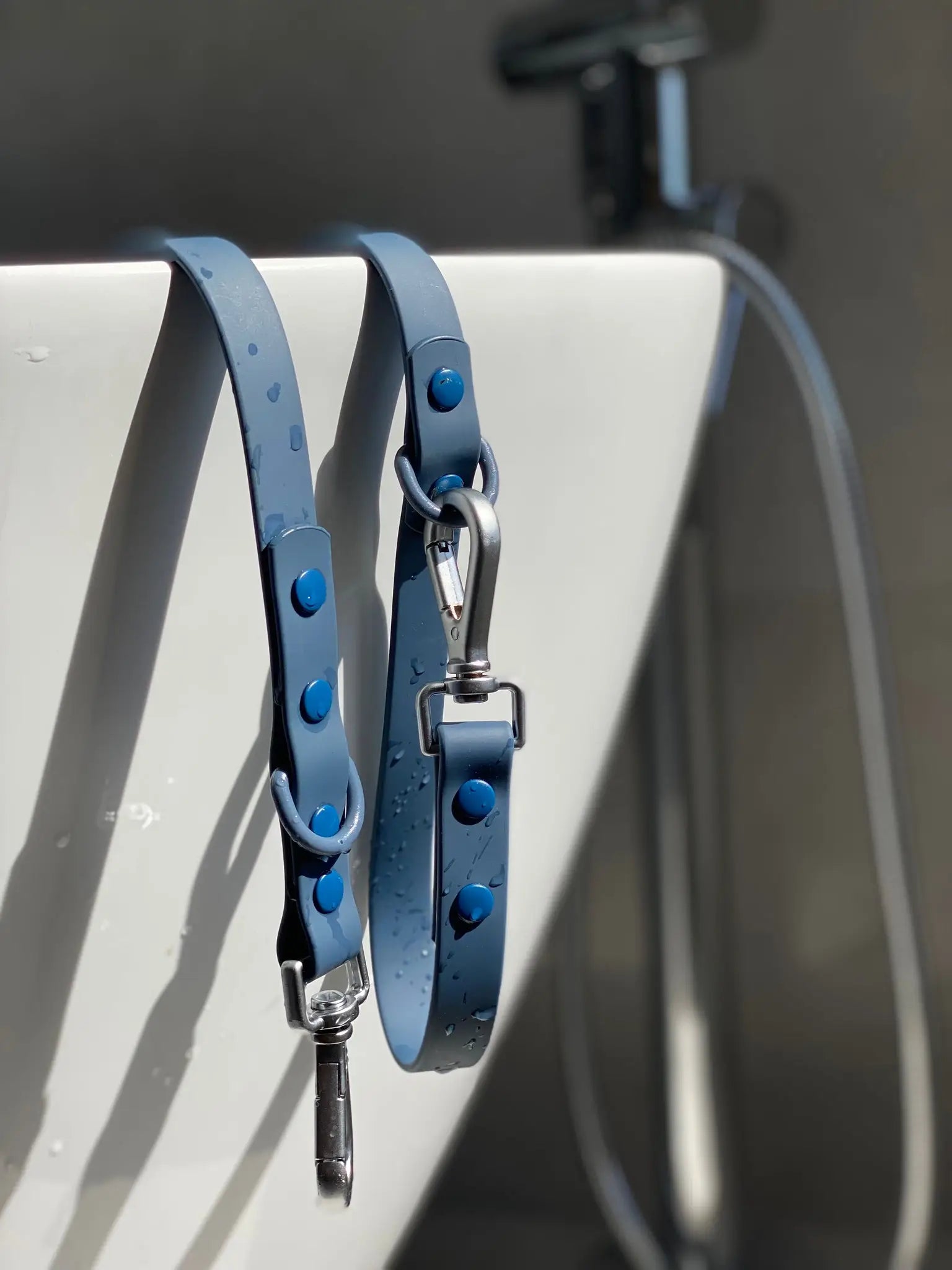 Hundebånd - mørk blå - Dyrekompaniet