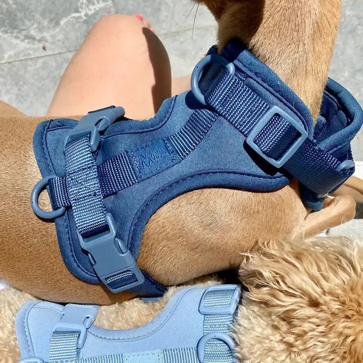 Sele til hund  - mørk blå - Dyrekompaniet