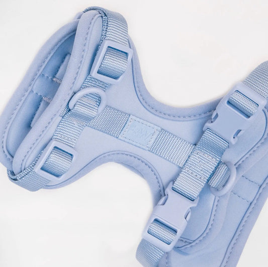 Sele til hund  - brun - Dyrekompaniet