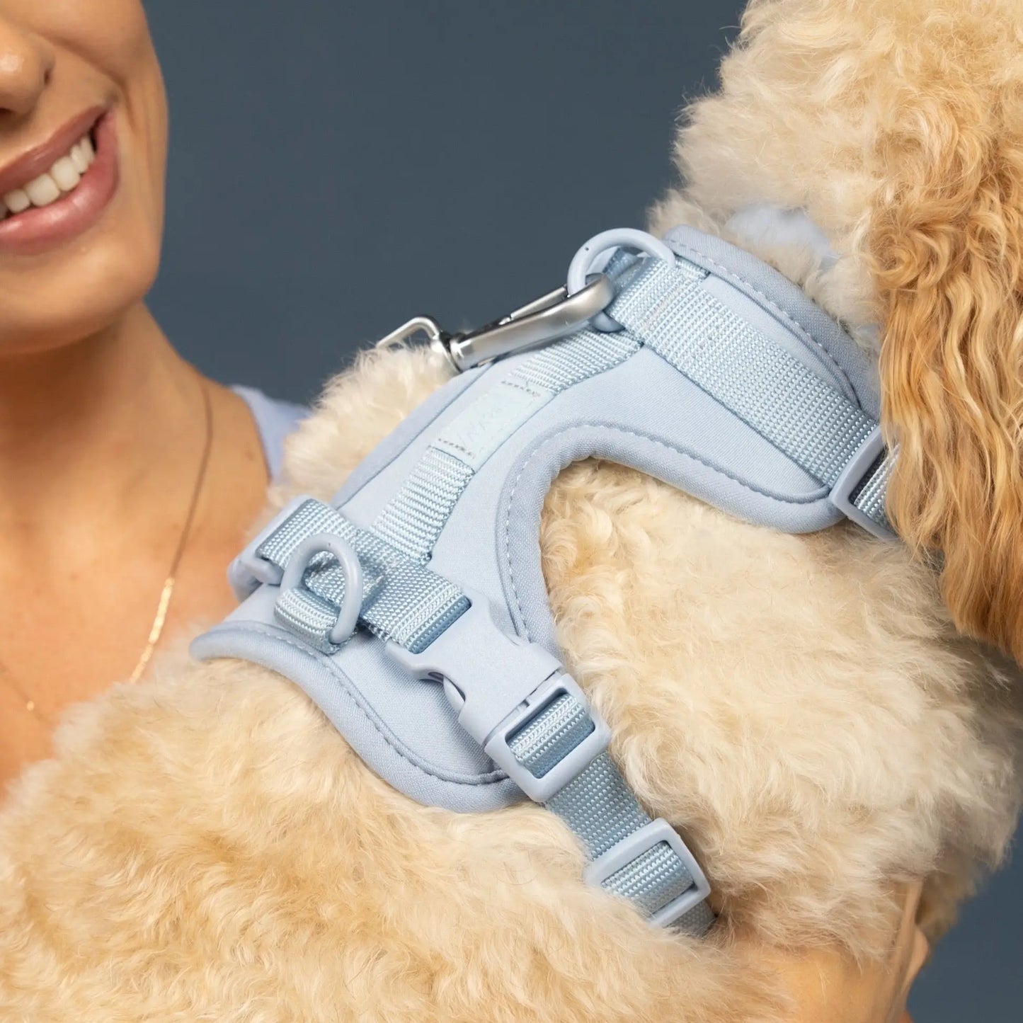 Sele til hund  - brun - Dyrekompaniet