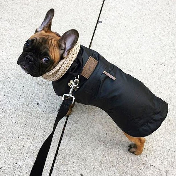 Hundejakke svart - Dyrekompaniet