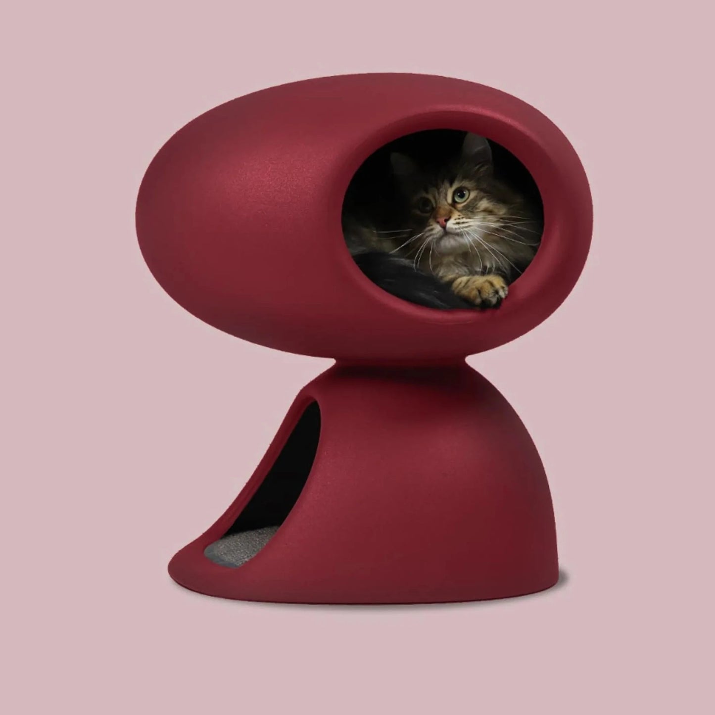 Kattehule med klorematte rød - Dyrekompaniet