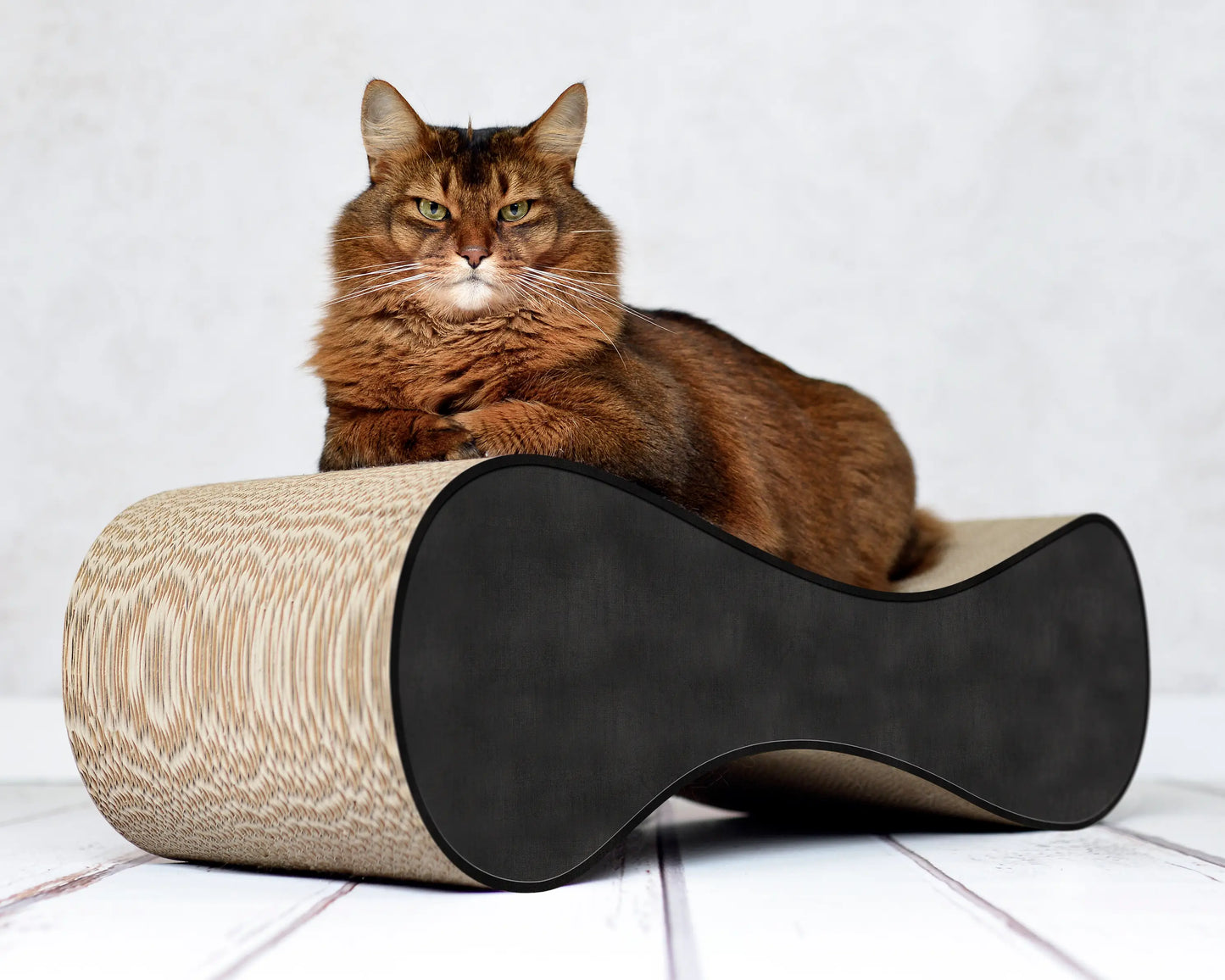 Kloremøbel til katt luksus ormen - Dyrekompaniet