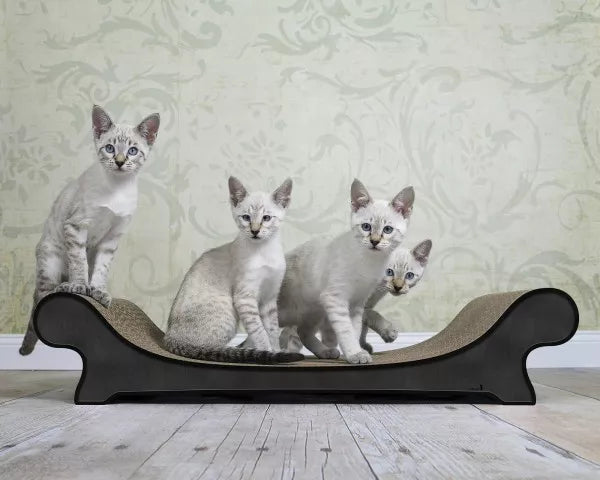 Kloremøbel til katt luksus sofa - Dyrekompaniet