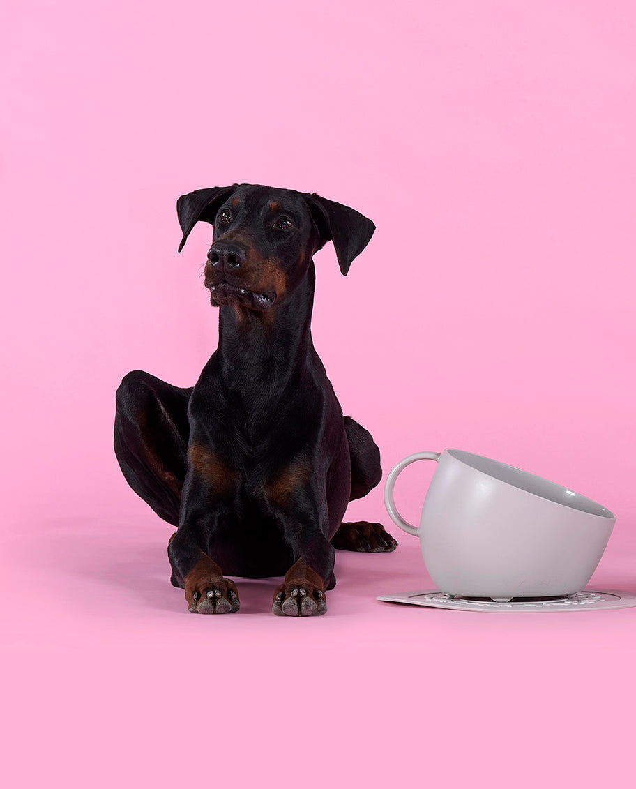 Kopp og skål til hund - beige - Dyrekompaniet