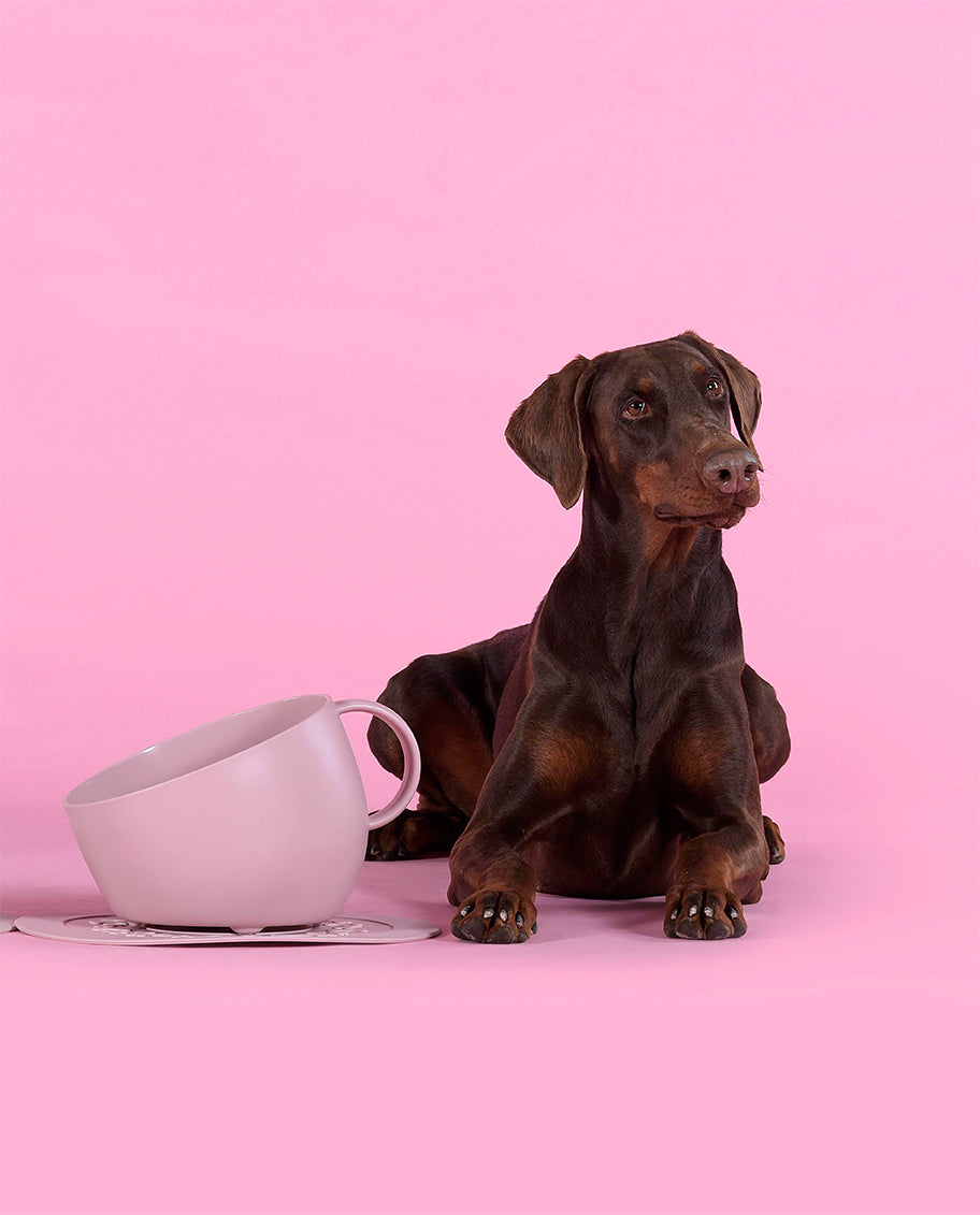 Kopp og skål til hund - beige - Dyrekompaniet