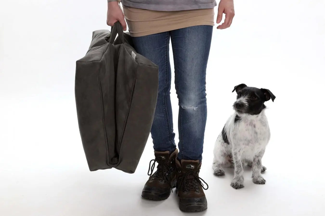 ut på reise med hund - Dyrekompaniet