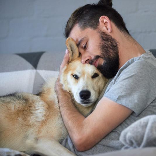 hunden din lukter godt - Dyrekompaniet