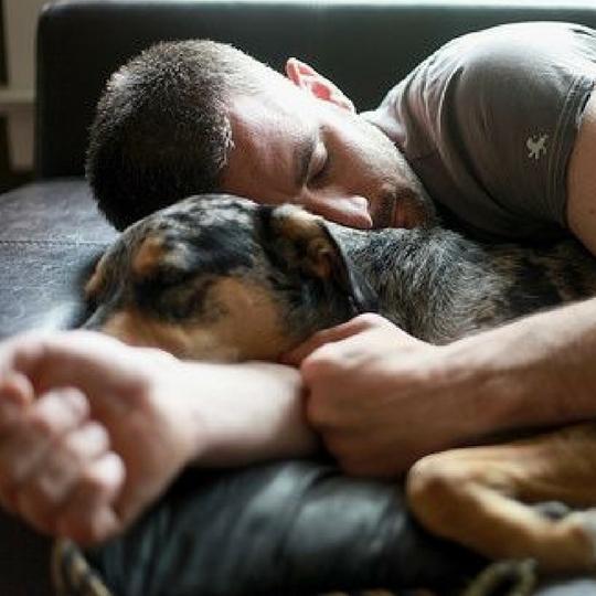 godlukt til hund - Dyrekompaniet