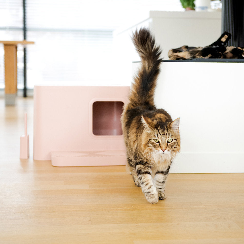 ekstra stor kattedo - Dyrekompaniet