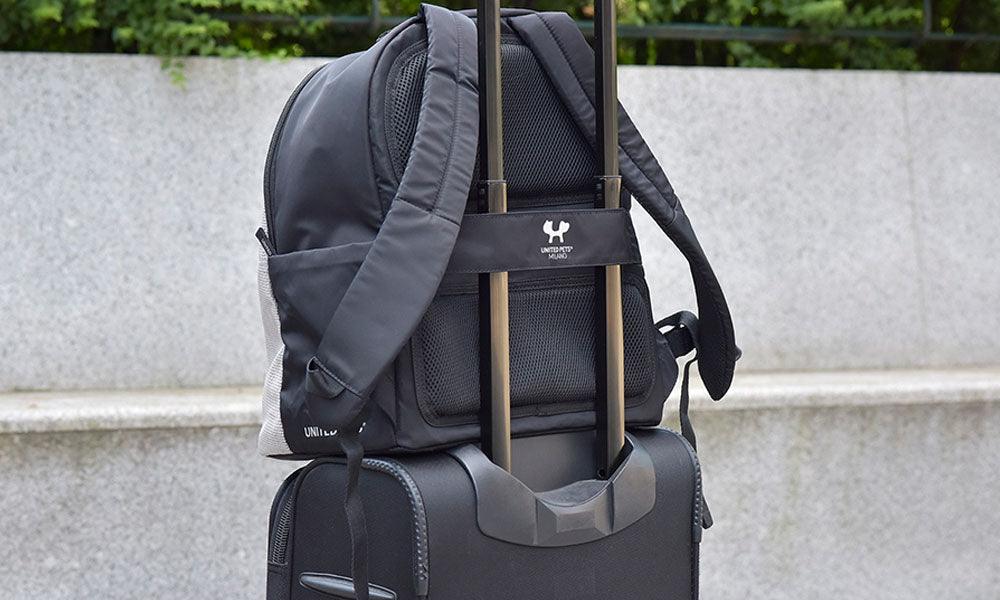 Ryggsekk til hund og katt svart/rosa - Dyrekompaniet