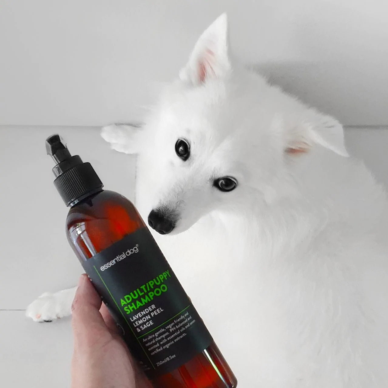 populær sjampo til hund - Dyrekompaniet