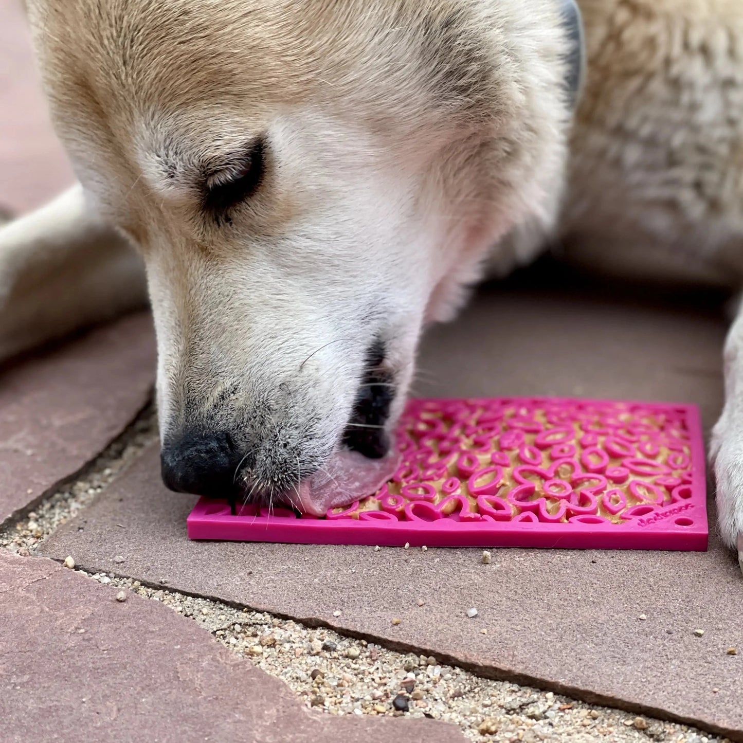 Slikkematte Blomster 