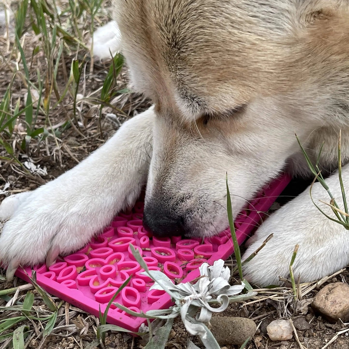 hindrer overspising - Dyrekompaniet