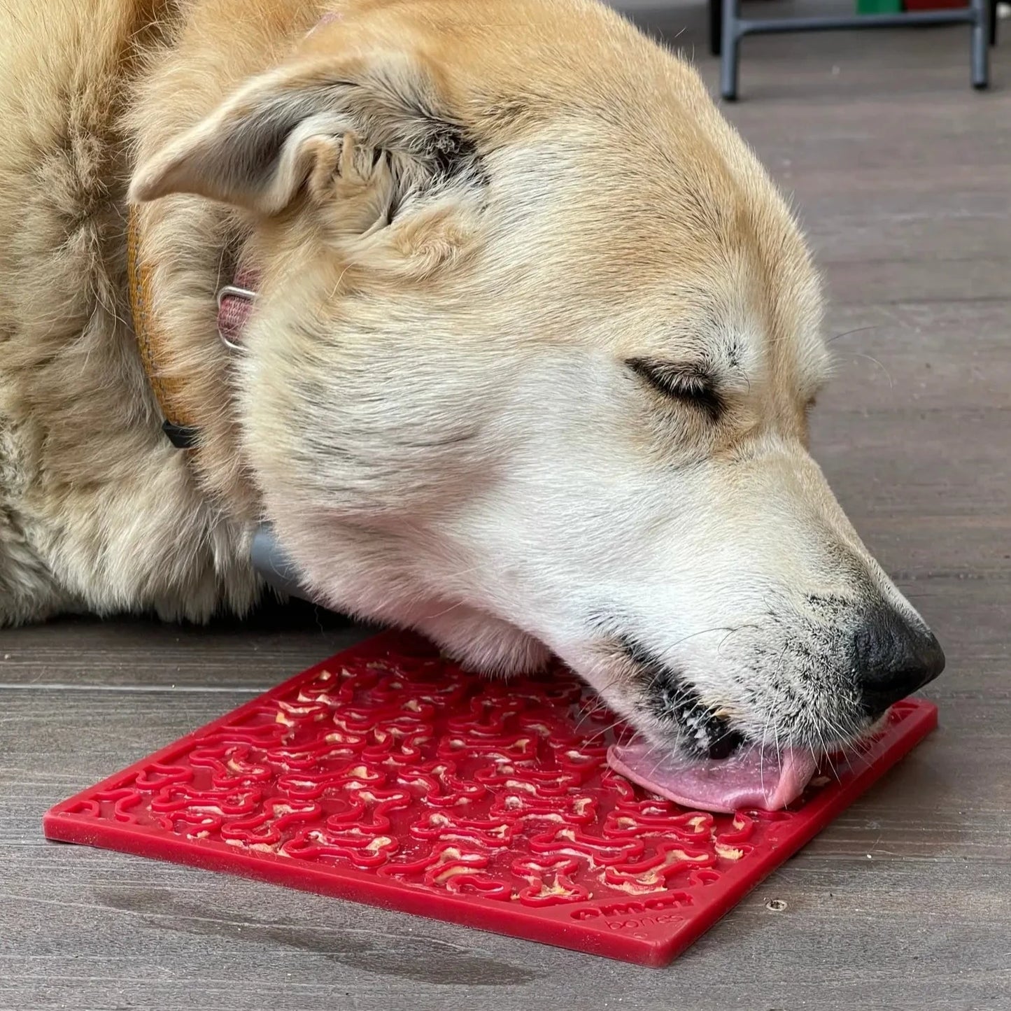 Slikkematte kjøttbein - Dyrekompaniet