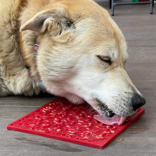 Slikkematte kjøttbein - Dyrekompaniet